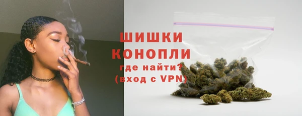 дживик Липки