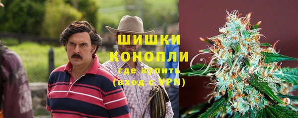 дживик Липки