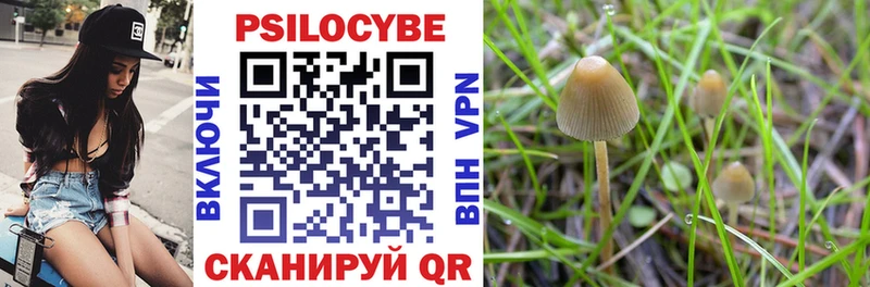 Псилоцибиновые грибы GOLDEN TEACHER  Чегем 